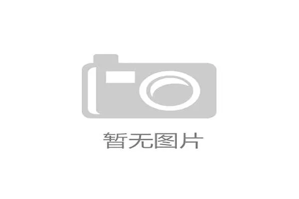 2026年世界杯新西兰与埃及出线前景对比及晋级可能性全面解析