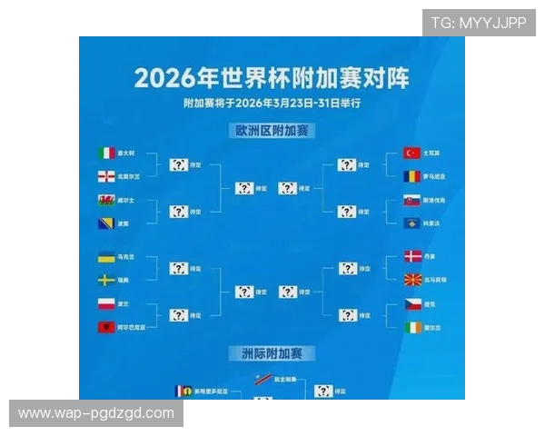2026年世界杯瑞典与突尼斯比赛的赛程安排、场地选择及相关热点问题总结