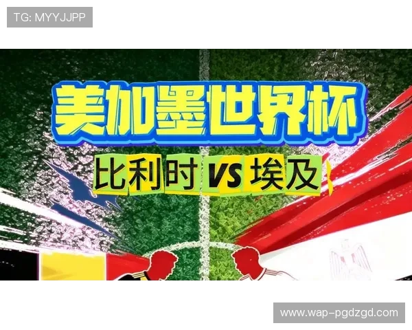 世界杯比利时对阵埃及比赛详细比分及关键比赛亮点回顾